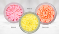 Original Flower Candles Bestseller Bundle