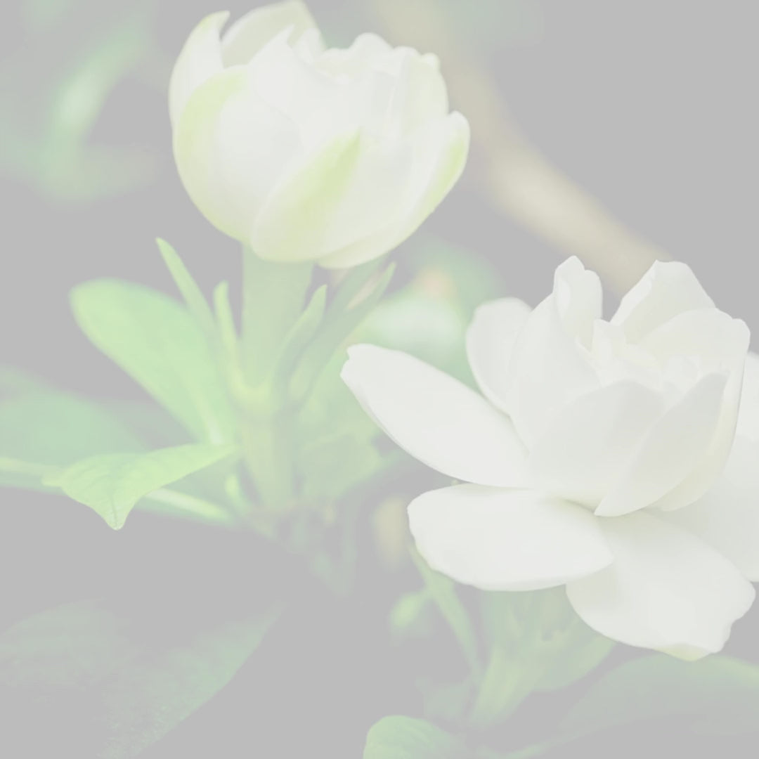 Gardenia Flower Candle