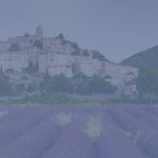 Not Your Ordinary Lavender Candle