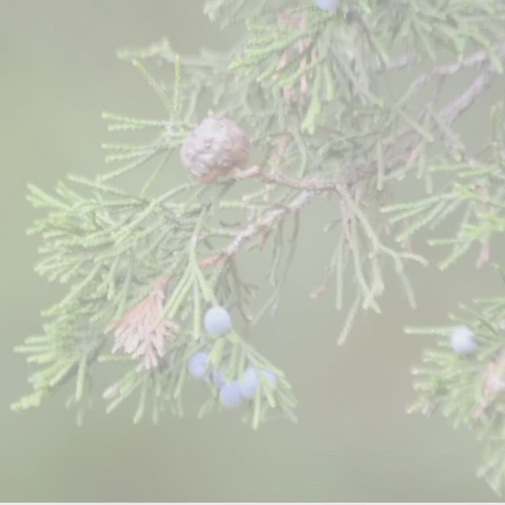 Bohemian Christmas Candle